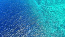 seabeds seabeds
