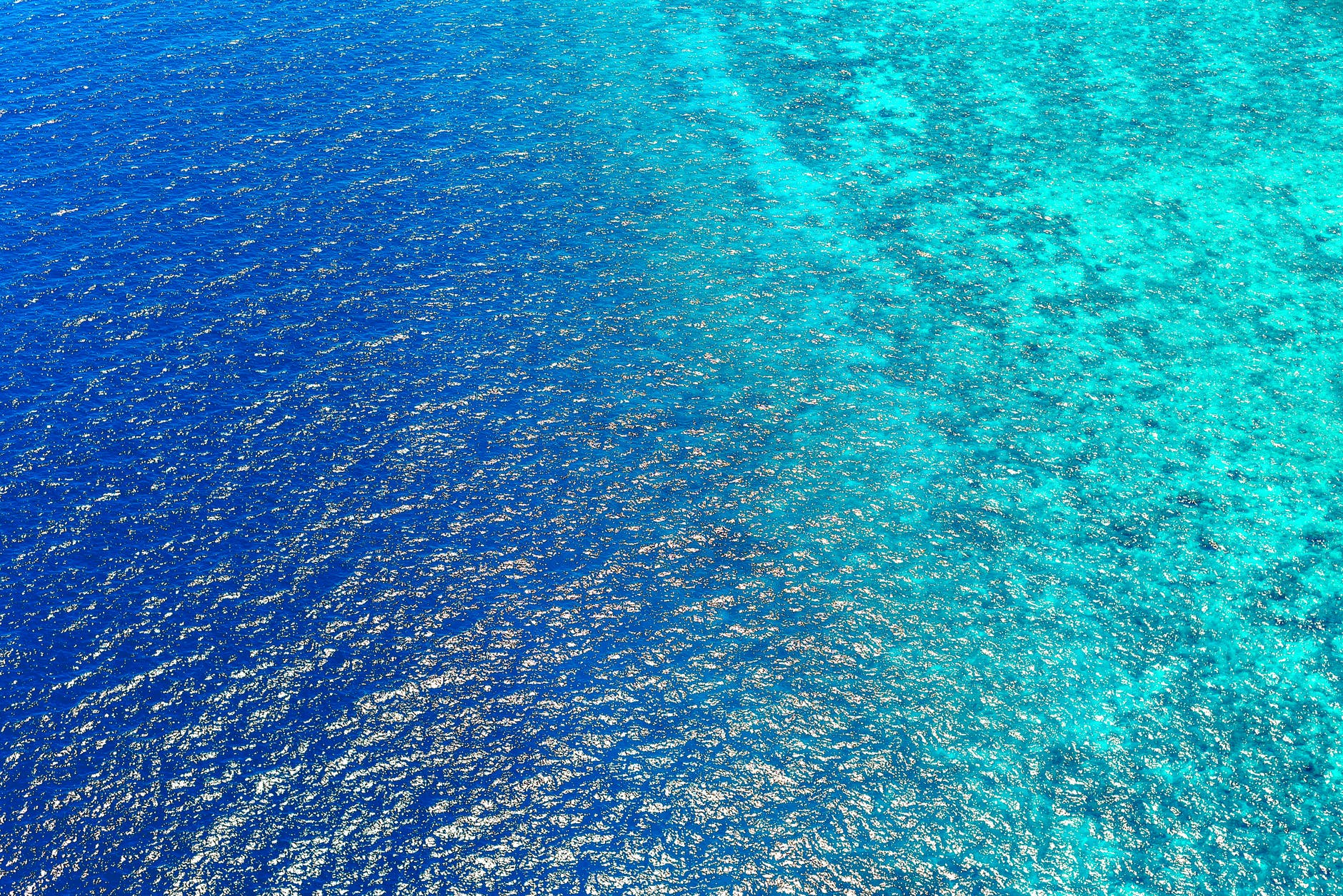 seabeds seabeds