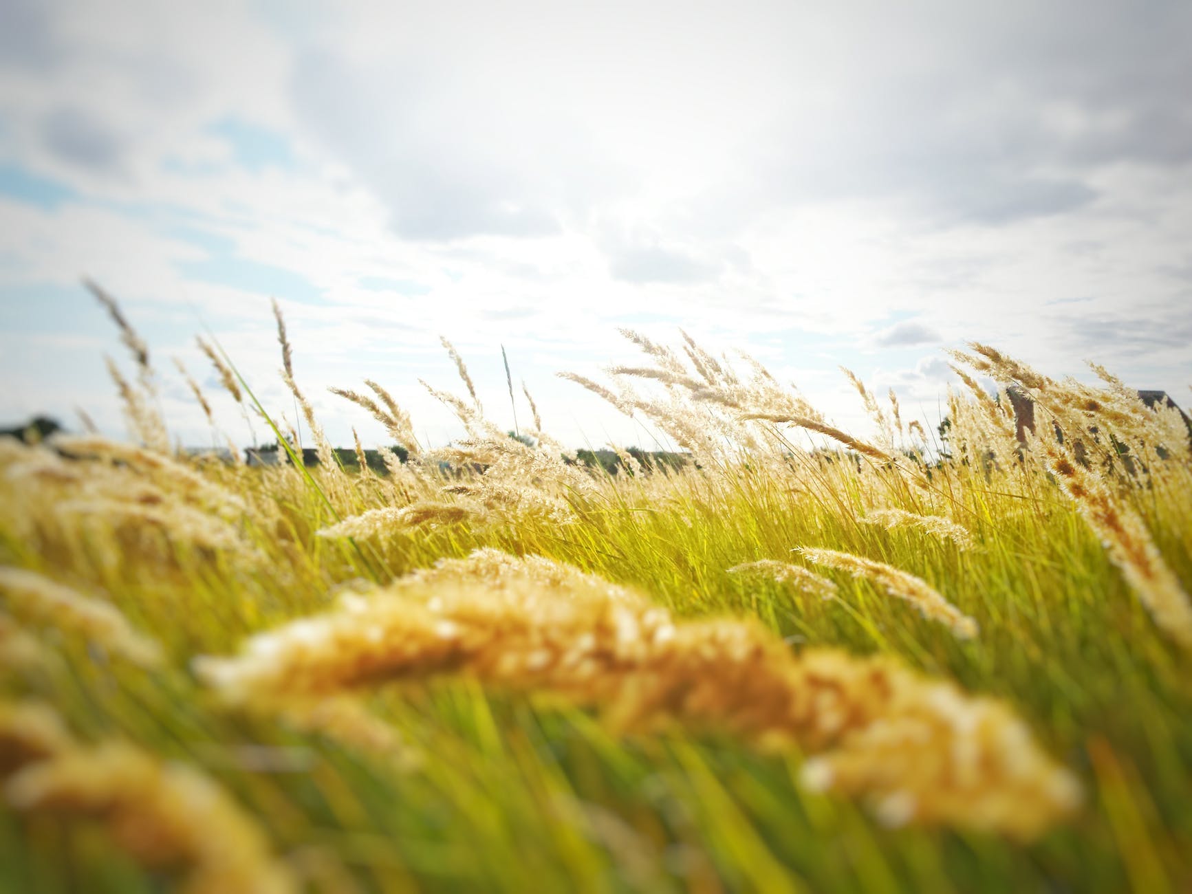 wind speed wind speed