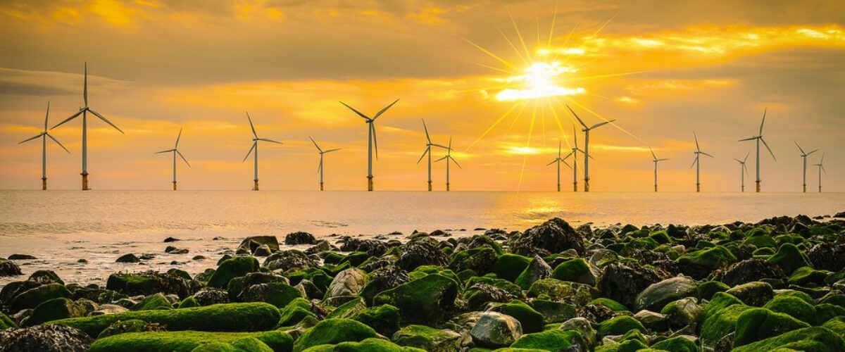 Unlocking the power of teams in renewable energy: Lessons from Inch Cape and beyond