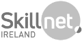 skillnet-logo