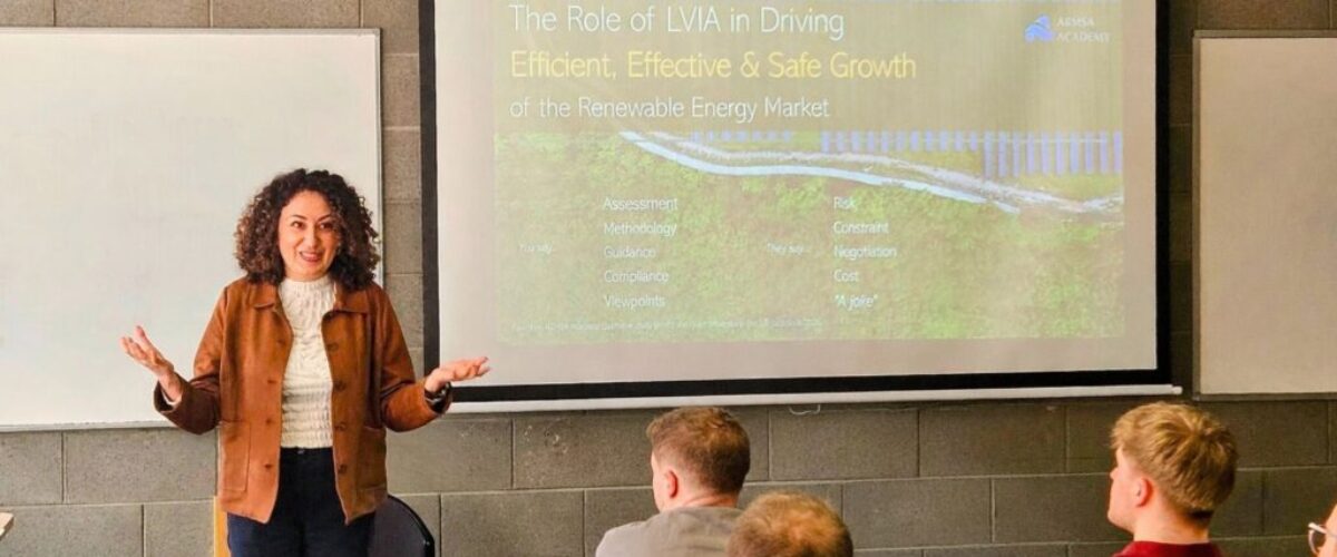 From planning artefact to design decision: rethinking the LVIA